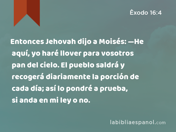 Entonces Jehovah dijo a Moisés: —He aquí, yo haré llover para vosotros pan del cielo. El pueblo saldrá y recogerá diariamente la porción de cada día; así lo pondré a prueba, si anda en mi ley o no. - Êxodo 16:4