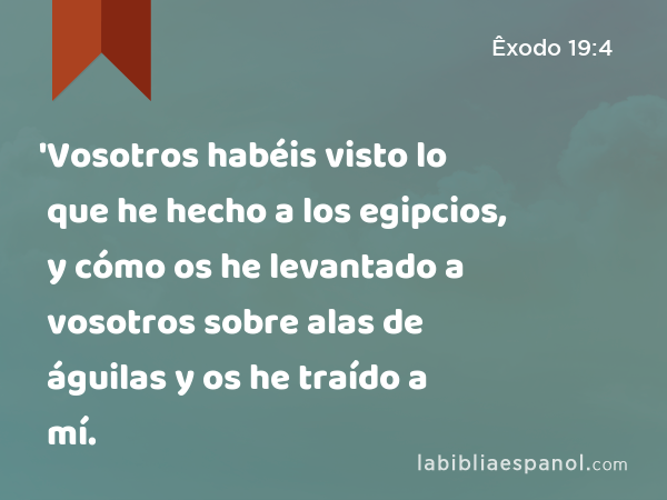 'Vosotros habéis visto lo que he hecho a los egipcios, y cómo os he levantado a vosotros sobre alas de águilas y os he traído a mí. - Êxodo 19:4