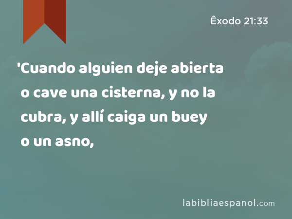 'Cuando alguien deje abierta o cave una cisterna, y no la cubra, y allí caiga un buey o un asno, - Êxodo 21:33