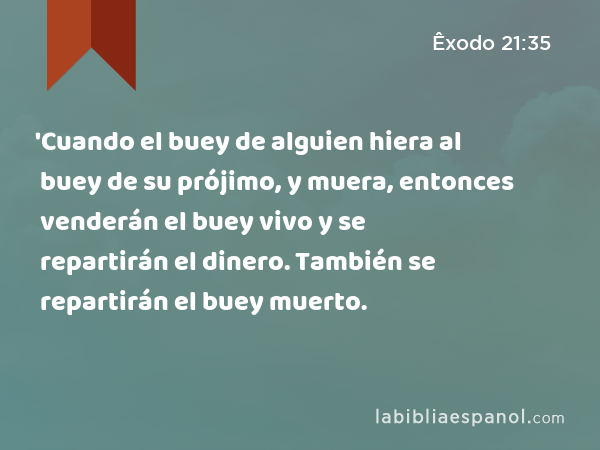 'Cuando el buey de alguien hiera al buey de su prójimo, y muera, entonces venderán el buey vivo y se repartirán el dinero. También se repartirán el buey muerto. - Êxodo 21:35