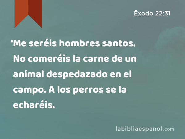 'Me seréis hombres santos. No comeréis la carne de un animal despedazado en el campo. A los perros se la echaréis. - Êxodo 22:31