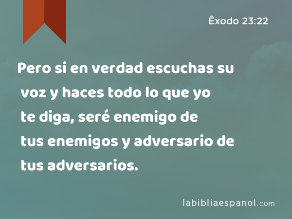 Pero si en verdad escuchas su voz y haces todo lo que yo te diga, seré enemigo de tus enemigos y adversario de tus adversarios. - Êxodo 23:22