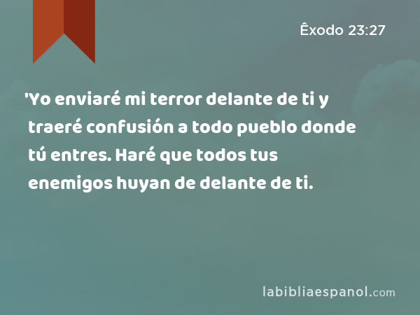 'Yo enviaré mi terror delante de ti y traeré confusión a todo pueblo donde tú entres. Haré que todos tus enemigos huyan de delante de ti. - Êxodo 23:27