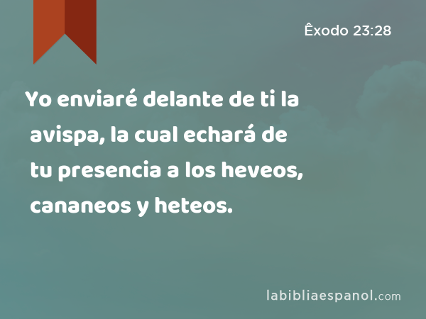 Yo enviaré delante de ti la avispa, la cual echará de tu presencia a los heveos, cananeos y heteos. - Êxodo 23:28