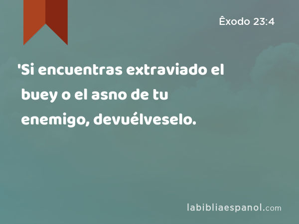 'Si encuentras extraviado el buey o el asno de tu enemigo, devuélveselo. - Êxodo 23:4