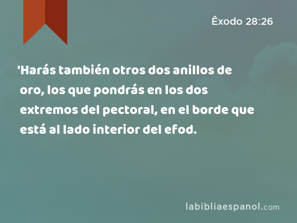 'Harás también otros dos anillos de oro, los que pondrás en los dos extremos del pectoral, en el borde que está al lado interior del efod. - Êxodo 28:26