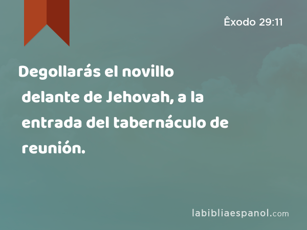 Degollarás el novillo delante de Jehovah, a la entrada del tabernáculo de reunión. - Êxodo 29:11