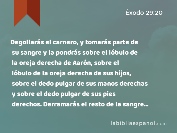 Degollarás el carnero, y tomarás parte de su sangre y la pondrás sobre el lóbulo de la oreja derecha de Aarón, sobre el lóbulo de la oreja derecha de sus hijos, sobre el dedo pulgar de sus manos derechas y sobre el dedo pulgar de sus pies derechos. Derramarás el resto de la sangre encima y alrededor del altar. - Êxodo 29:20