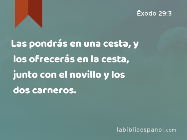 Las pondrás en una cesta, y los ofrecerás en la cesta, junto con el novillo y los dos carneros. - Êxodo 29:3