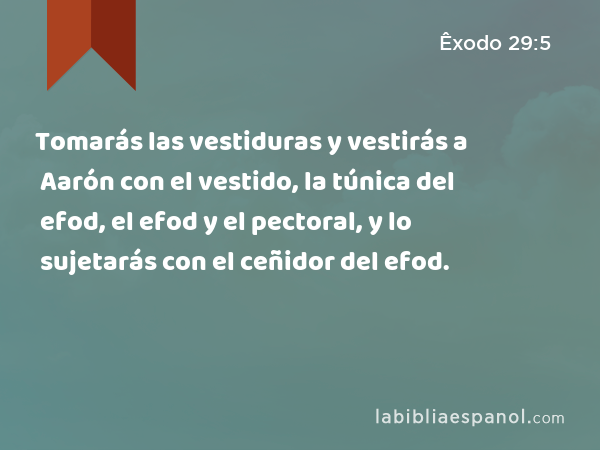 Tomarás las vestiduras y vestirás a Aarón con el vestido, la túnica del efod, el efod y el pectoral, y lo sujetarás con el ceñidor del efod. - Êxodo 29:5