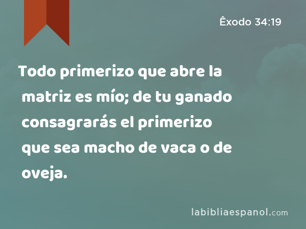 Todo primerizo que abre la matriz es mío; de tu ganado consagrarás el primerizo que sea macho de vaca o de oveja. - Êxodo 34:19