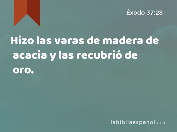 Hizo las varas de madera de acacia y las recubrió de oro. - Êxodo 37:28