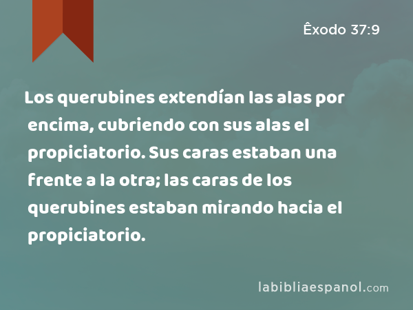 Los querubines extendían las alas por encima, cubriendo con sus alas el propiciatorio. Sus caras estaban una frente a la otra; las caras de los querubines estaban mirando hacia el propiciatorio. - Êxodo 37:9