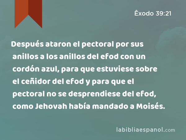 Después ataron el pectoral por sus anillos a los anillos del efod con un cordón azul, para que estuviese sobre el ceñidor del efod y para que el pectoral no se desprendiese del efod, como Jehovah había mandado a Moisés. - Êxodo 39:21