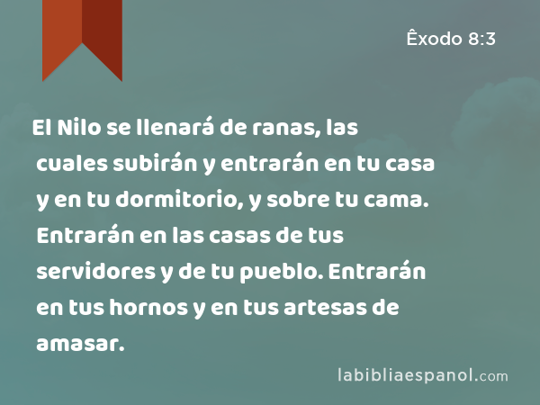 El Nilo se llenará de ranas, las cuales subirán y entrarán en tu casa y en tu dormitorio, y sobre tu cama. Entrarán en las casas de tus servidores y de tu pueblo. Entrarán en tus hornos y en tus artesas de amasar. - Êxodo 8:3