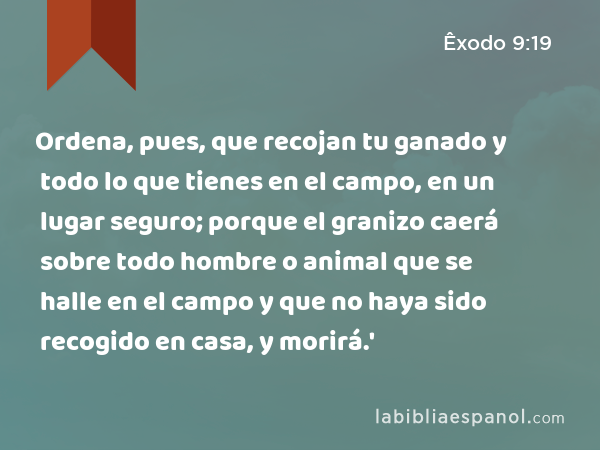 Ordena, pues, que recojan tu ganado y todo lo que tienes en el campo, en un lugar seguro; porque el granizo caerá sobre todo hombre o animal que se halle en el campo y que no haya sido recogido en casa, y morirá.' - Êxodo 9:19