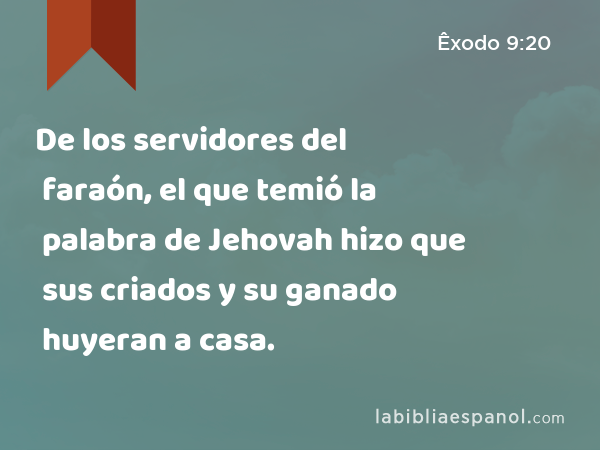 De los servidores del faraón, el que temió la palabra de Jehovah hizo que sus criados y su ganado huyeran a casa. - Êxodo 9:20