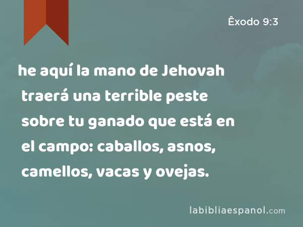 he aquí la mano de Jehovah traerá una terrible peste sobre tu ganado que está en el campo: caballos, asnos, camellos, vacas y ovejas. - Êxodo 9:3