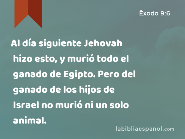 Al día siguiente Jehovah hizo esto, y murió todo el ganado de Egipto. Pero del ganado de los hijos de Israel no murió ni un solo animal. - Êxodo 9:6