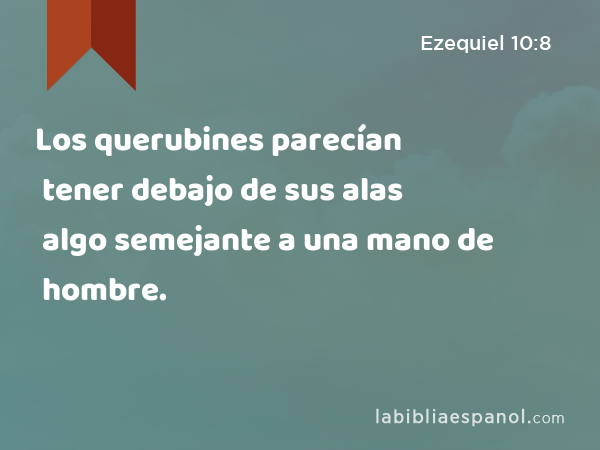 Los querubines parecían tener debajo de sus alas algo semejante a una mano de hombre. - Ezequiel 10:8