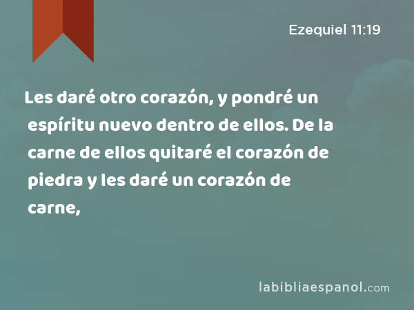 Les daré otro corazón, y pondré un espíritu nuevo dentro de ellos. De la carne de ellos quitaré el corazón de piedra y les daré un corazón de carne, - Ezequiel 11:19