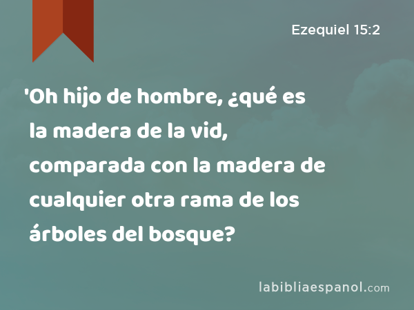 'Oh hijo de hombre, ¿qué es la madera de la vid, comparada con la madera de cualquier otra rama de los árboles del bosque? - Ezequiel 15:2