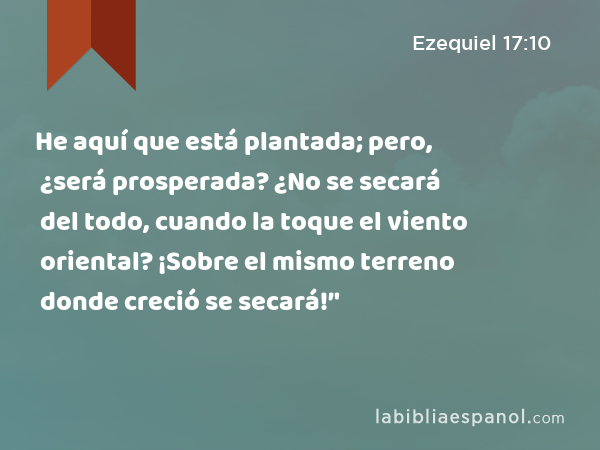 He aquí que está plantada; pero, ¿será prosperada? ¿No se secará del todo, cuando la toque el viento oriental? ¡Sobre el mismo terreno donde creció se secará!’' - Ezequiel 17:10