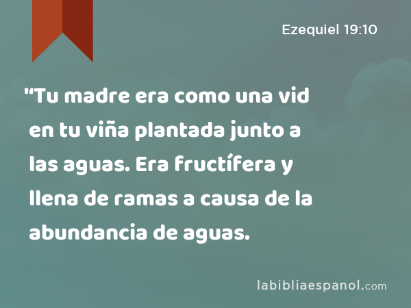 '‘Tu madre era como una vid en tu viña plantada junto a las aguas. Era fructífera y llena de ramas a causa de la abundancia de aguas. - Ezequiel 19:10