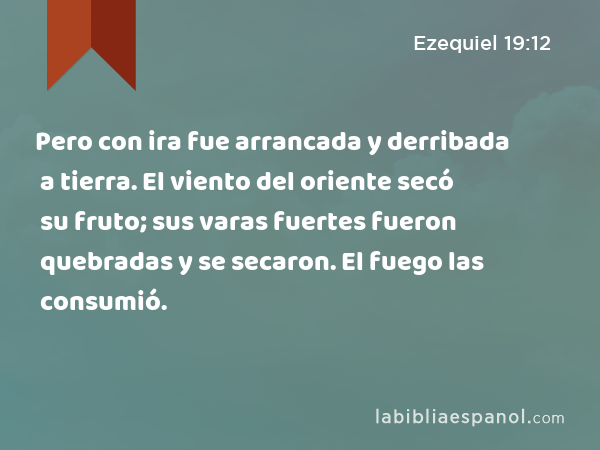 Pero con ira fue arrancada y derribada a tierra. El viento del oriente secó su fruto; sus varas fuertes fueron quebradas y se secaron. El fuego las consumió. - Ezequiel 19:12