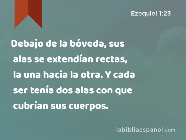 Debajo de la bóveda, sus alas se extendían rectas, la una hacia la otra. Y cada ser tenía dos alas con que cubrían sus cuerpos. - Ezequiel 1:23