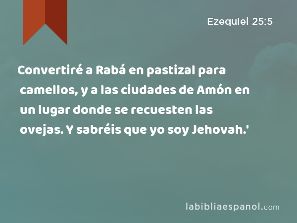 Convertiré a Rabá en pastizal para camellos, y a las ciudades de Amón en un lugar donde se recuesten las ovejas. Y sabréis que yo soy Jehovah.' - Ezequiel 25:5