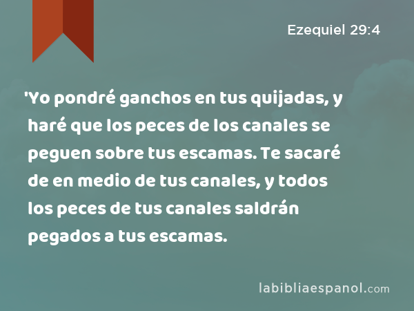 'Yo pondré ganchos en tus quijadas, y haré que los peces de los canales se peguen sobre tus escamas. Te sacaré de en medio de tus canales, y todos los peces de tus canales saldrán pegados a tus escamas. - Ezequiel 29:4