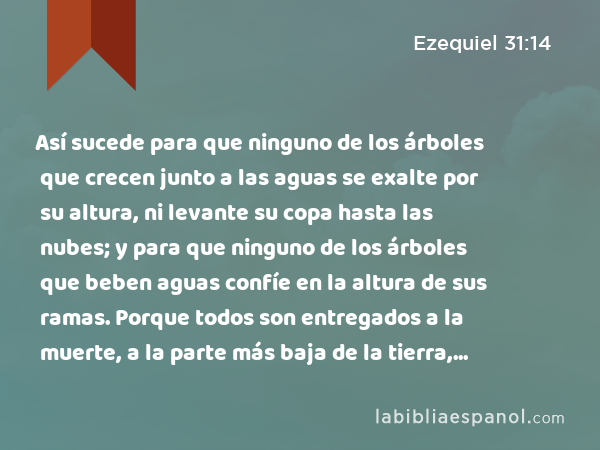 Así sucede para que ninguno de los árboles que crecen junto a las aguas se exalte por su altura, ni levante su copa hasta las nubes; y para que ninguno de los árboles que beben aguas confíe en la altura de sus ramas. Porque todos son entregados a la muerte, a la parte más baja de la tierra, en medio de los hijos de los hombres que descienden a la fosa.’' - Ezequiel 31:14