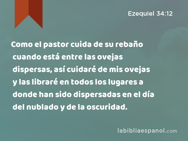 Como el pastor cuida de su rebaño cuando está entre las ovejas dispersas, así cuidaré de mis ovejas y las libraré en todos los lugares a donde han sido dispersadas en el día del nublado y de la oscuridad. - Ezequiel 34:12