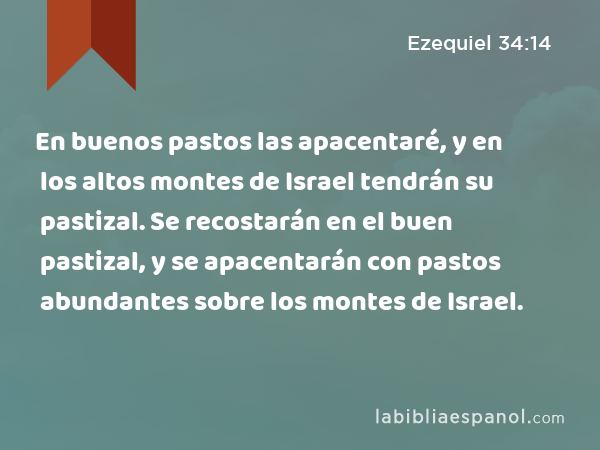 En buenos pastos las apacentaré, y en los altos montes de Israel tendrán su pastizal. Se recostarán en el buen pastizal, y se apacentarán con pastos abundantes sobre los montes de Israel. - Ezequiel 34:14