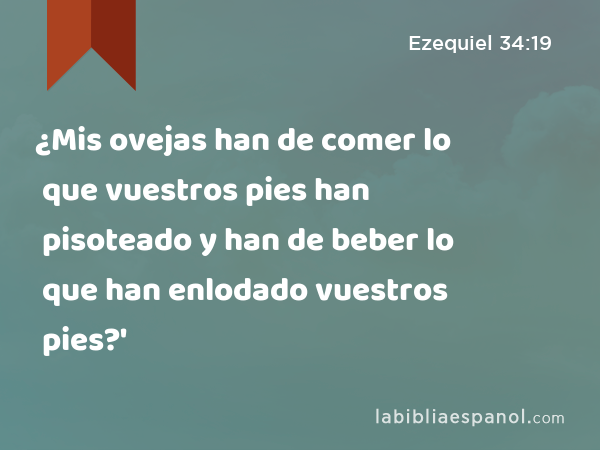 ¿Mis ovejas han de comer lo que vuestros pies han pisoteado y han de beber lo que han enlodado vuestros pies?' - Ezequiel 34:19