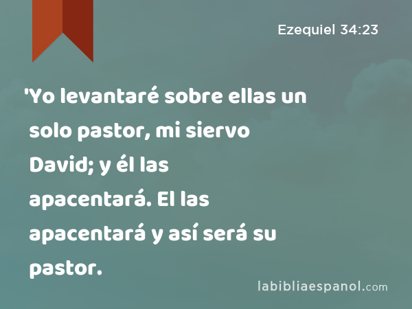 'Yo levantaré sobre ellas un solo pastor, mi siervo David; y él las apacentará. El las apacentará y así será su pastor. - Ezequiel 34:23