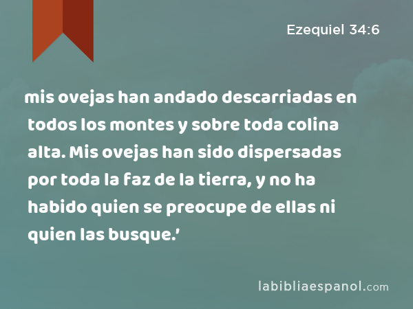 mis ovejas han andado descarriadas en todos los montes y sobre toda colina alta. Mis ovejas han sido dispersadas por toda la faz de la tierra, y no ha habido quien se preocupe de ellas ni quien las busque.’ - Ezequiel 34:6