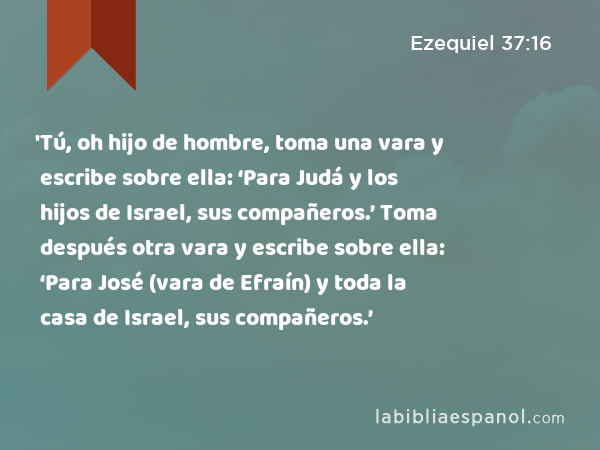 'Tú, oh hijo de hombre, toma una vara y escribe sobre ella: ‘Para Judá y los hijos de Israel, sus compañeros.’ Toma después otra vara y escribe sobre ella: ‘Para José (vara de Efraín) y toda la casa de Israel, sus compañeros.’ - Ezequiel 37:16