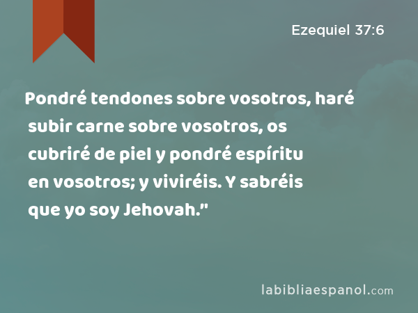 Pondré tendones sobre vosotros, haré subir carne sobre vosotros, os cubriré de piel y pondré espíritu en vosotros; y viviréis. Y sabréis que yo soy Jehovah.’' - Ezequiel 37:6