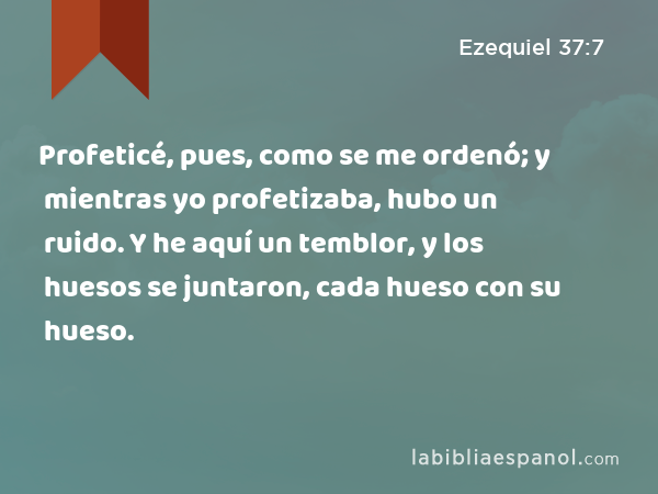 Profeticé, pues, como se me ordenó; y mientras yo profetizaba, hubo un ruido. Y he aquí un temblor, y los huesos se juntaron, cada hueso con su hueso. - Ezequiel 37:7