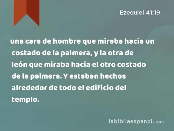 una cara de hombre que miraba hacia un costado de la palmera, y la otra de león que miraba hacia el otro costado de la palmera. Y estaban hechos alrededor de todo el edificio del templo. - Ezequiel 41:19