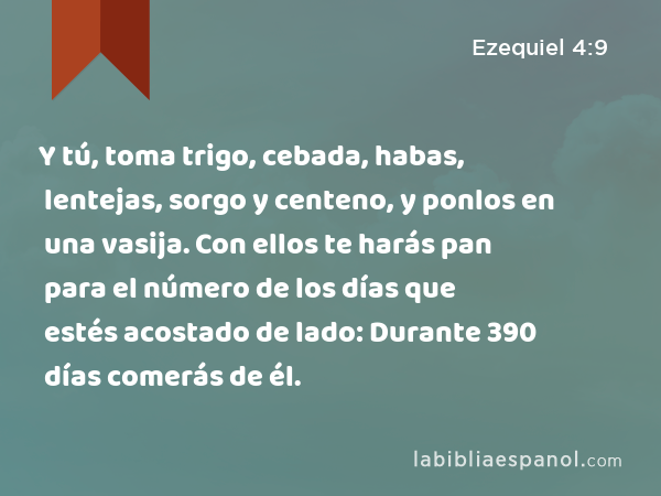 Y tú, toma trigo, cebada, habas, lentejas, sorgo y centeno, y ponlos en una vasija. Con ellos te harás pan para el número de los días que estés acostado de lado: Durante 390 días comerás de él. - Ezequiel 4:9