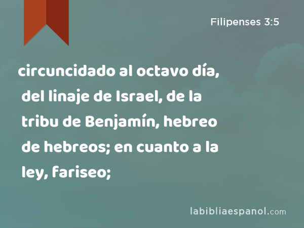 circuncidado al octavo día, del linaje de Israel, de la tribu de Benjamín, hebreo de hebreos; en cuanto a la ley, fariseo; - Filipenses 3:5