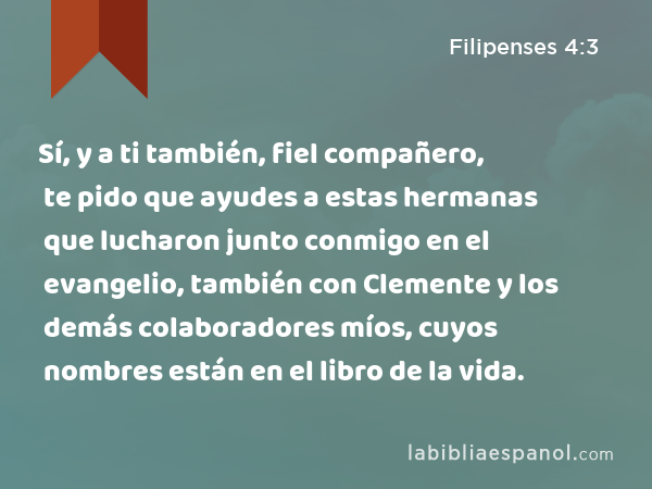 Sí, y a ti también, fiel compañero, te pido que ayudes a estas hermanas que lucharon junto conmigo en el evangelio, también con Clemente y los demás colaboradores míos, cuyos nombres están en el libro de la vida. - Filipenses 4:3