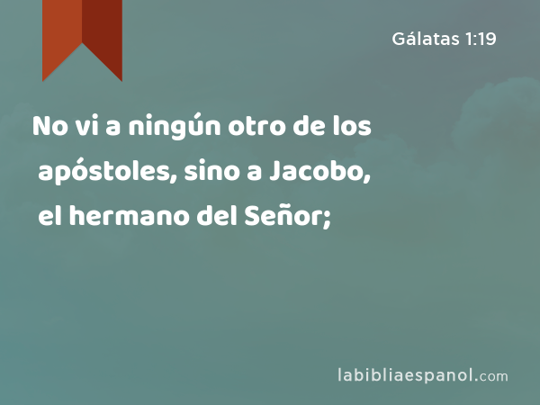 No vi a ningún otro de los apóstoles, sino a Jacobo, el hermano del Señor; - Gálatas 1:19