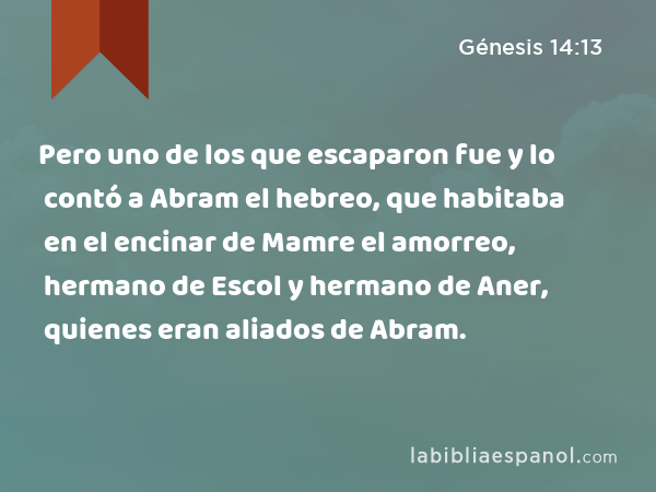 Pero uno de los que escaparon fue y lo contó a Abram el hebreo, que habitaba en el encinar de Mamre el amorreo, hermano de Escol y hermano de Aner, quienes eran aliados de Abram. - Génesis 14:13