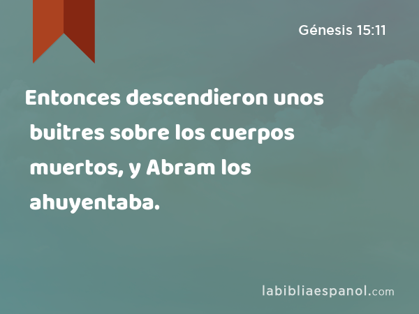 Entonces descendieron unos buitres sobre los cuerpos muertos, y Abram los ahuyentaba. - Génesis 15:11