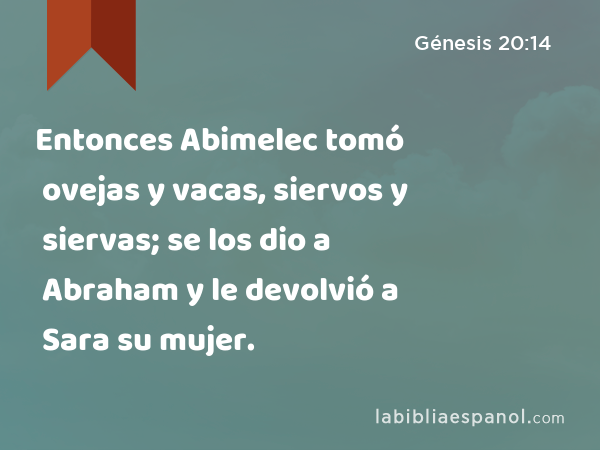 Entonces Abimelec tomó ovejas y vacas, siervos y siervas; se los dio a Abraham y le devolvió a Sara su mujer. - Génesis 20:14