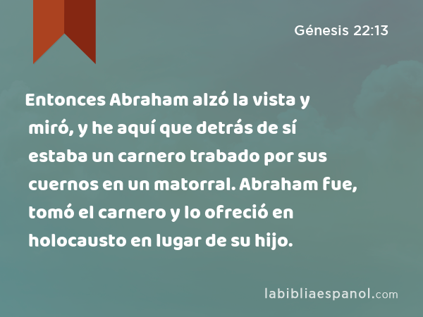 Entonces Abraham alzó la vista y miró, y he aquí que detrás de sí estaba un carnero trabado por sus cuernos en un matorral. Abraham fue, tomó el carnero y lo ofreció en holocausto en lugar de su hijo. - Génesis 22:13